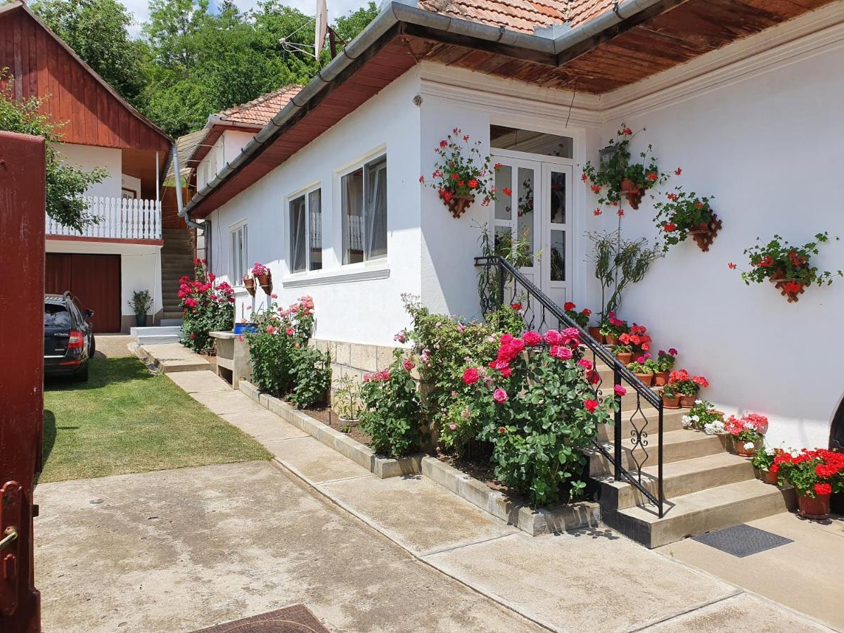 Rozsa Panzio Bed & Breakfast Риметеа Екстериор снимка